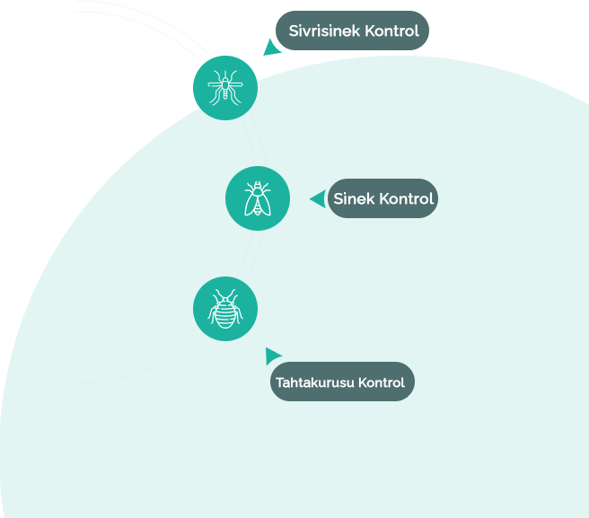 Evinizdeki İstilaya Son Verin. Sağlıklı Evler, Uzman Çözümler.
